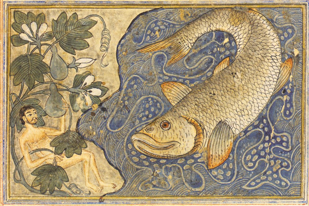 Anonymus: Jona en de walvis